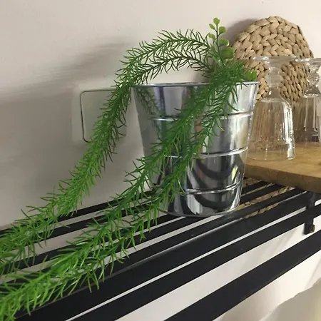 Apartment Matina *