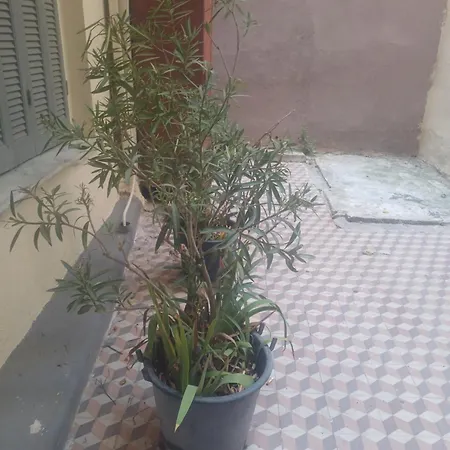Matina Apartment Thessaloniki